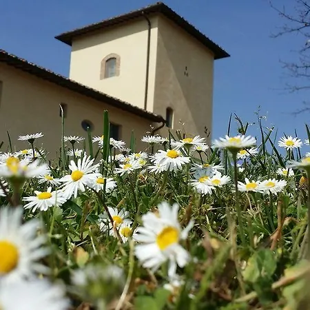 Dom wakacyjny Castello Del Nero - Podere San Filippo *